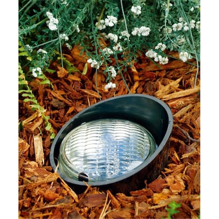 Intense Black PVC In-Ground Well light, Black IN2563112